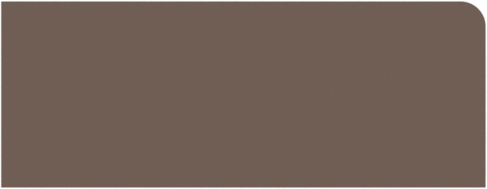 BROWN BG - REVIEW.png