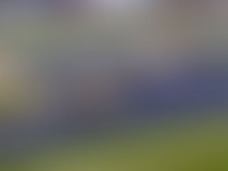 BTCC: NAPA Racing UK to run Ford Focus Saloon for 2026