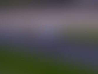 BTCC: Cammish takes excellent pole for Snetterton