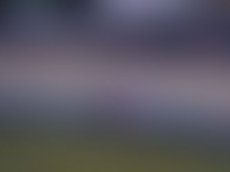 BTCC: TOCA announce new Junior Championship run by Power Maxed for 2027