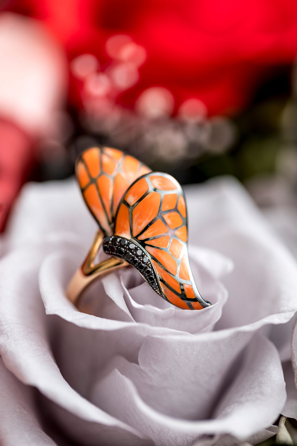 Thumbnail: Beloved . Butterfly
