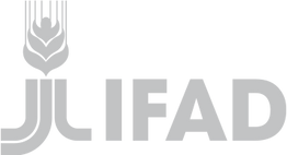 logo-IFAD copy.png