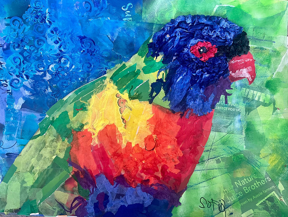 Rainbow Feathers by Sofia