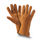 Miniaturbild: Fingerhandschuhe Premium