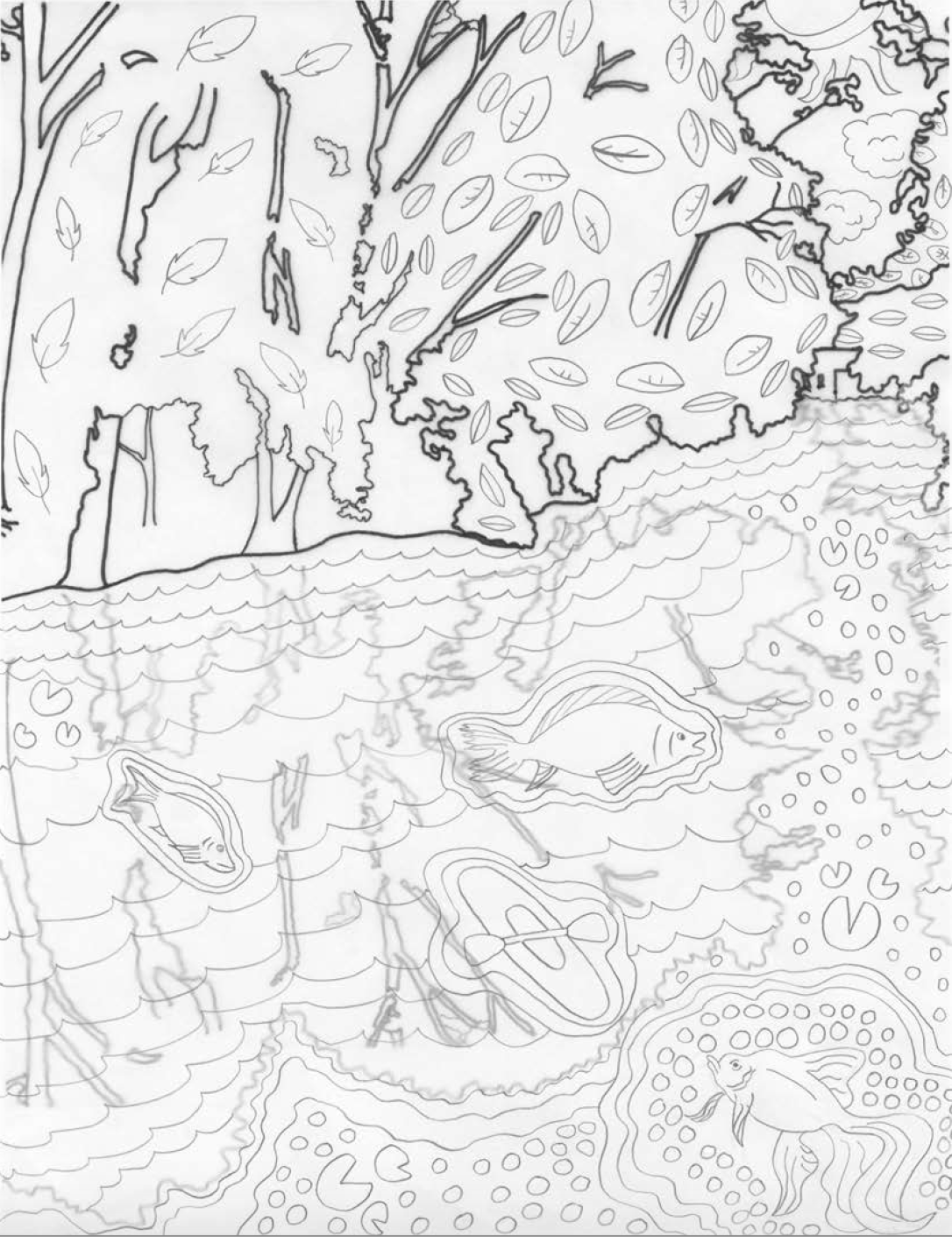 MSU Red Cedar Coloring Page
