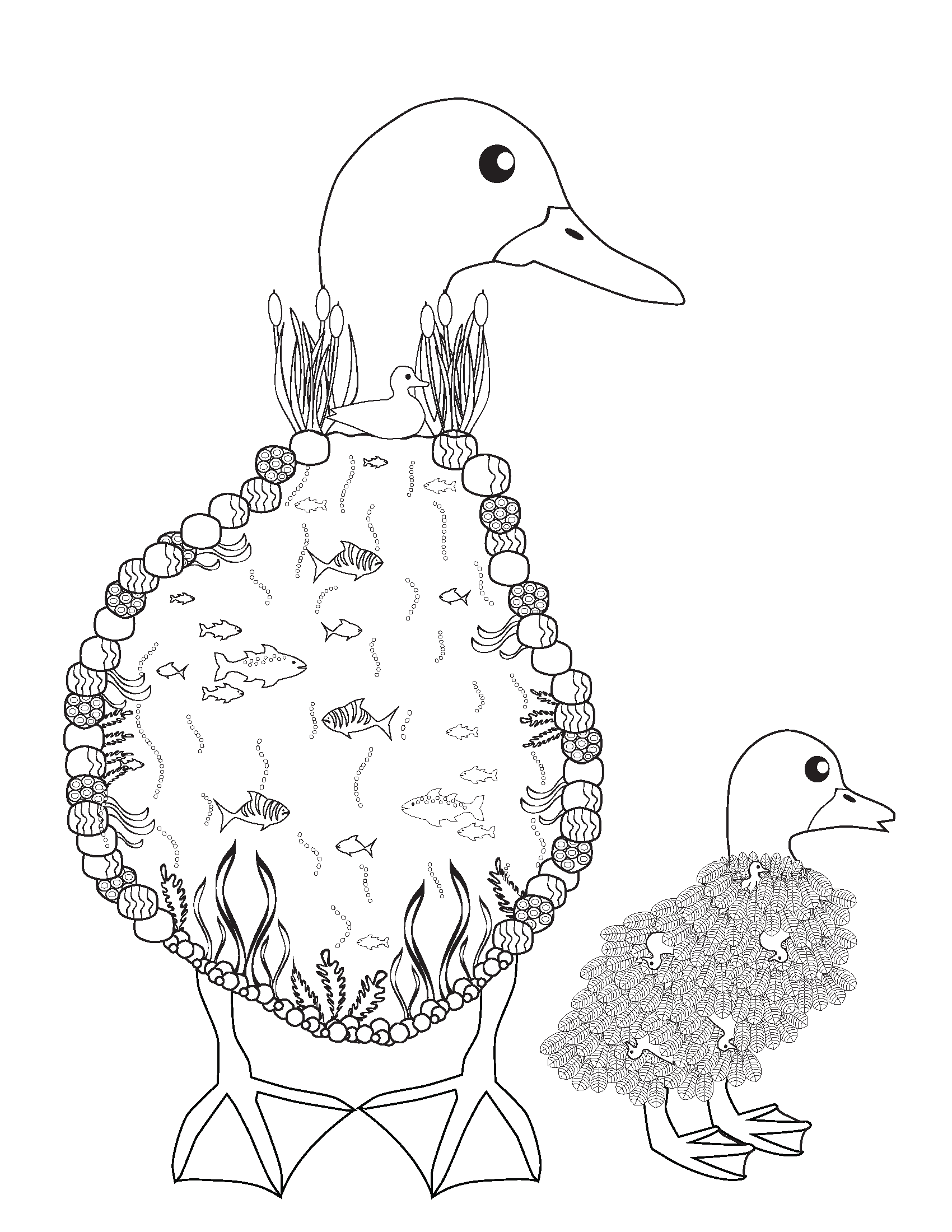 Ducks Coloring Book page