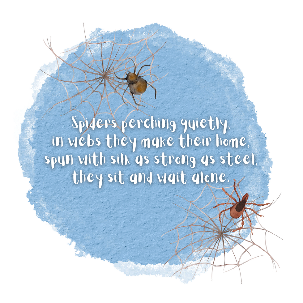 Thumbnail: 'The Secret World of Minibeasts' PDF