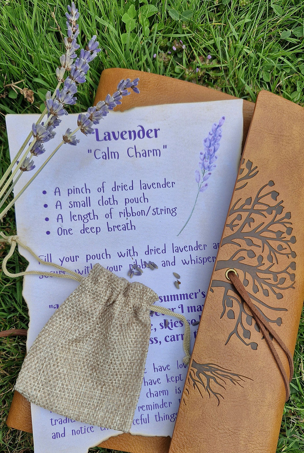 Lavender