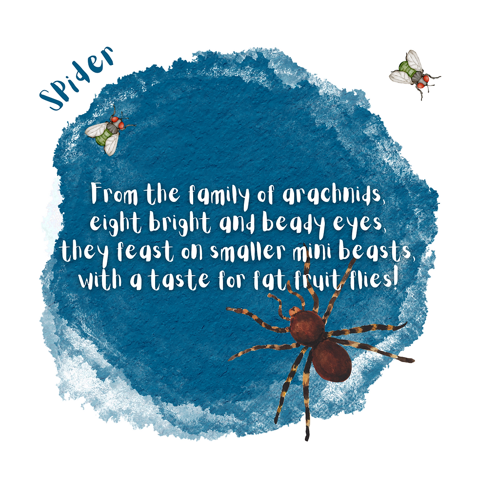 Thumbnail: 'The Secret World of Minibeasts' PDF