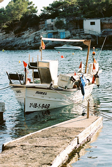 Gigi Hollanders-41.jpg