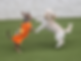 Screenshot 2025-11-13 090150