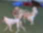 Screenshot 2025-11-13 085836