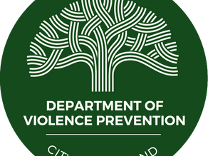 The Department of Violence Prevention Mini Grantee's Testimonials