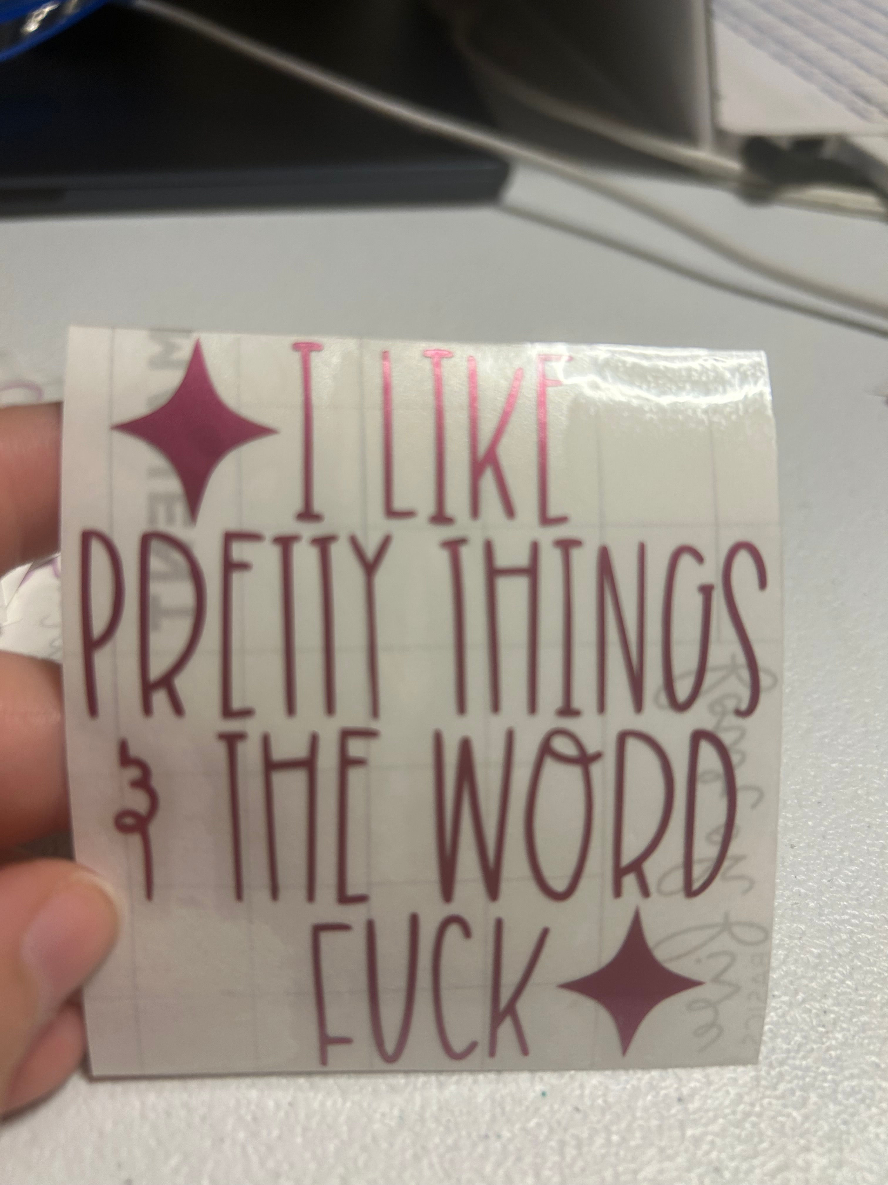 I like pretty things and the word fuck - vinyl decal