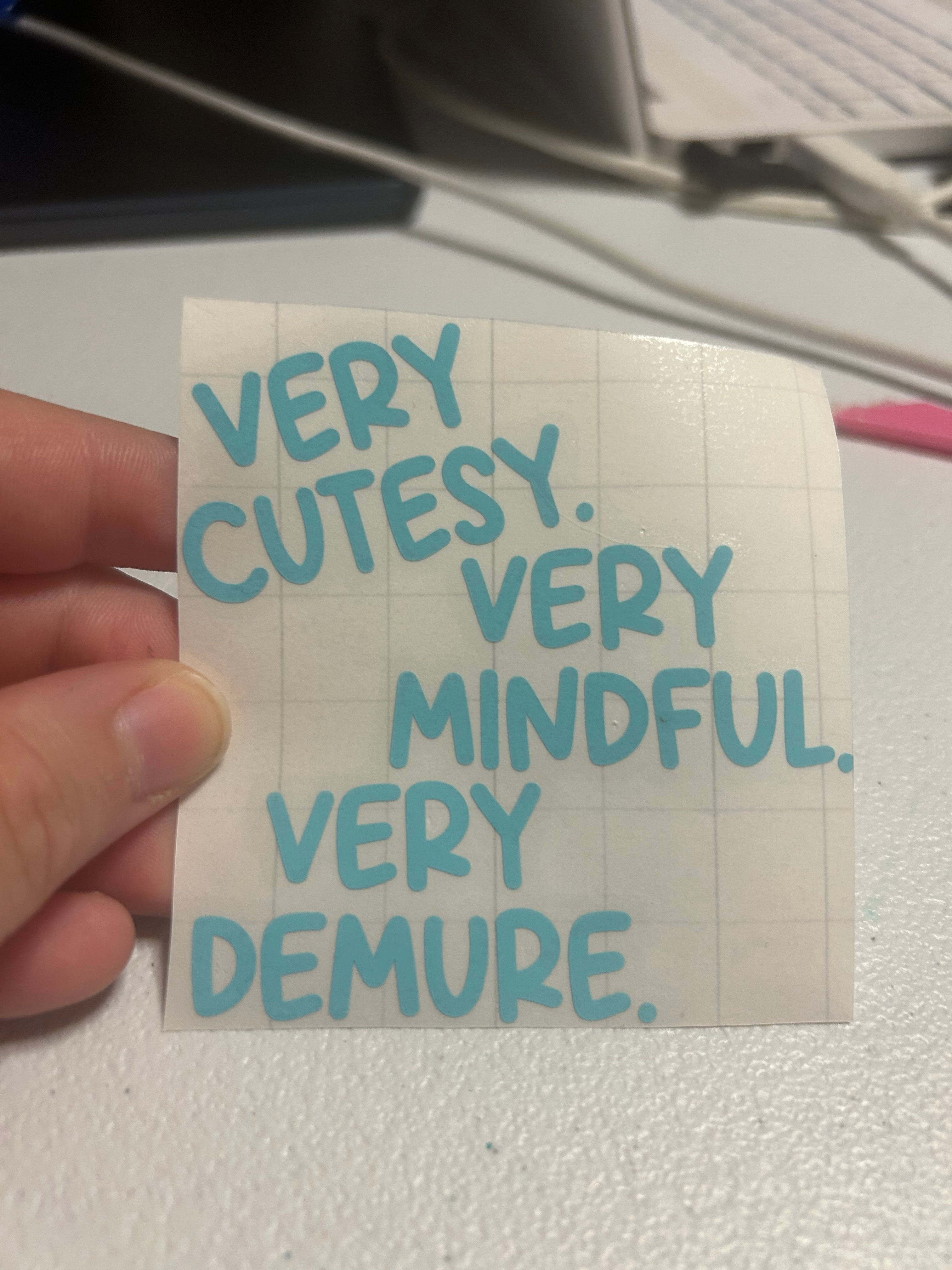 Very cutesy, very mindful, very demure. - vinyl decal