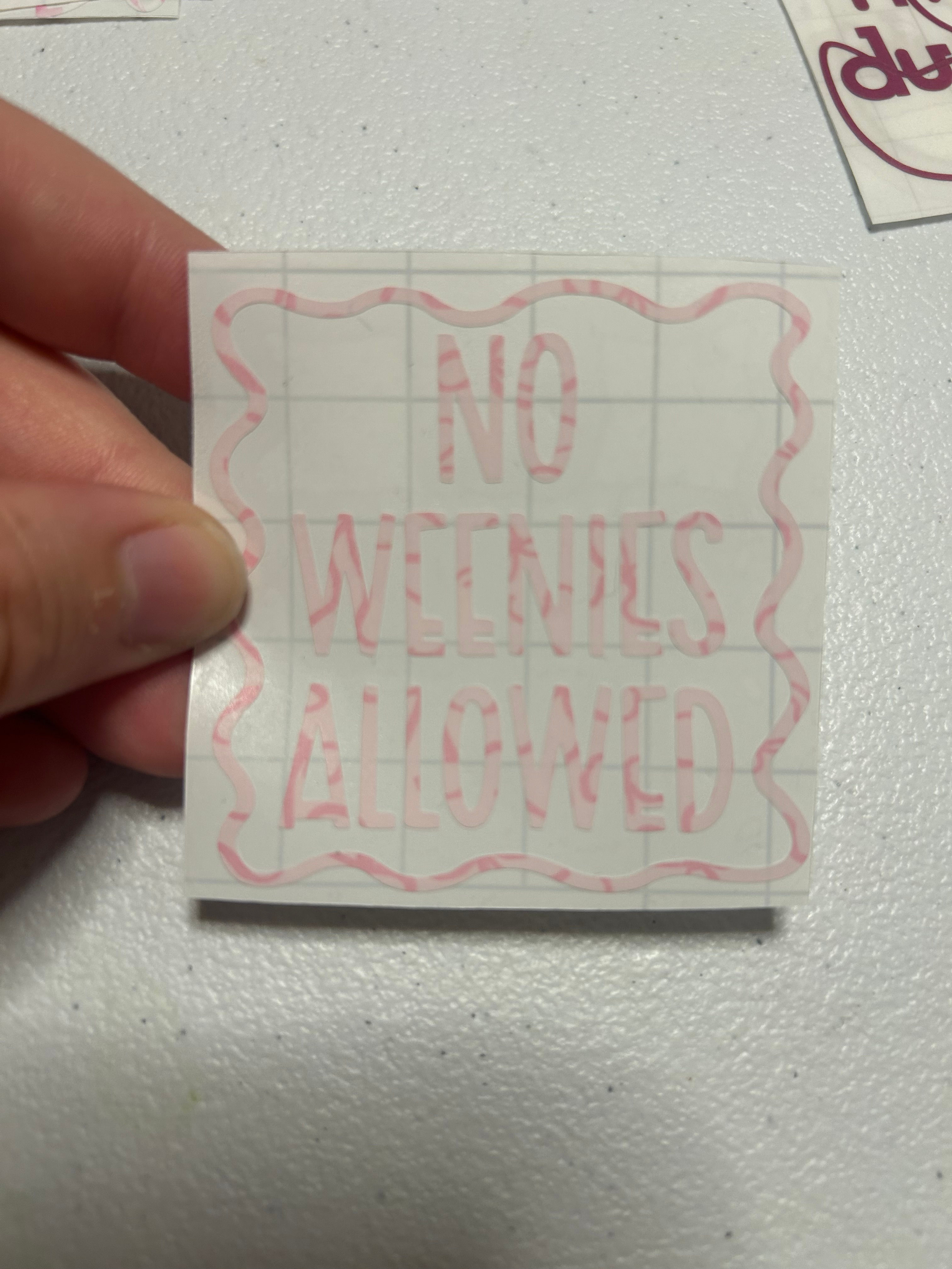 No weeinies allowed- vinyl decal