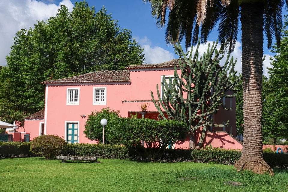 Side view of Solar de Lalem’s garden buildings, framed by a tall cactus, palm tree, and vibrant green lawn, with the estate’s signature pink facade and a backdrop of towering trees and blue sky.