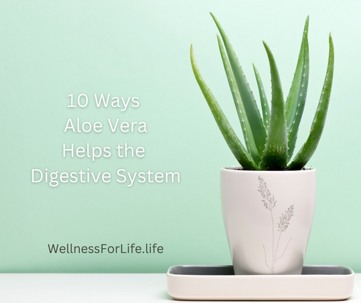 10 Ways Aloe Vera Helps Digestion