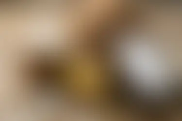 Why MCT Oil Deserves a Spot in Your Wellness Routine