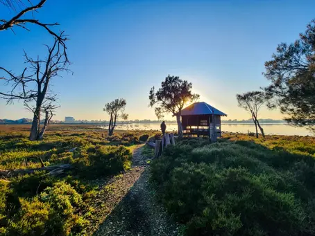 Samphire Cove Nature Reserve