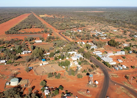 REMOTE COMMUNITY DEVELOPMENT.png