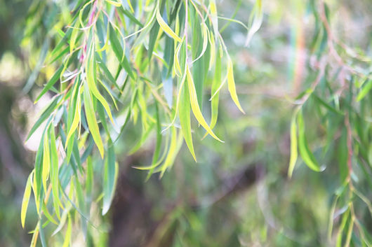 iStock-665345482_edited_edited.jpg