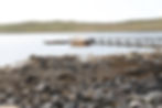 Self Catering Cottage Shetland