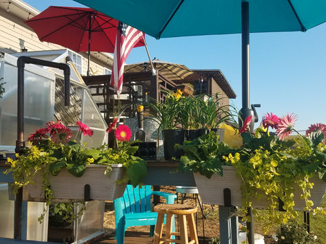 Ever Growing Garden...