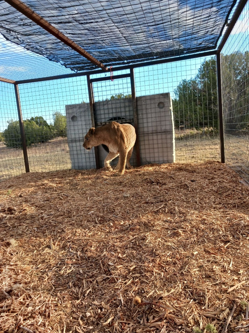 2022-09-29_10-19-39_902.jpeg