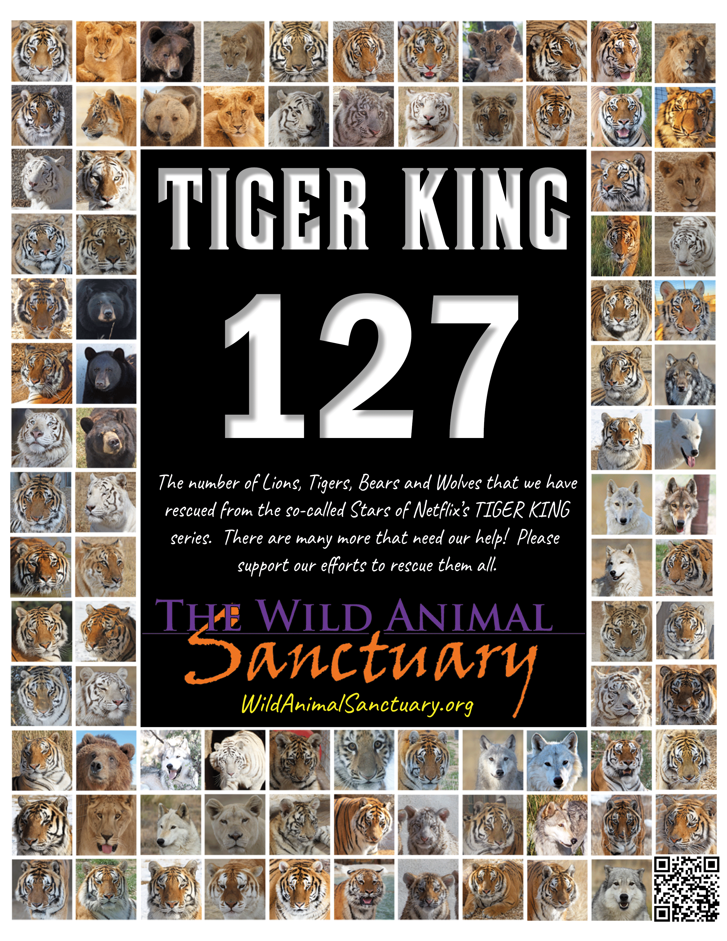 tiger-king-127-ad.gif