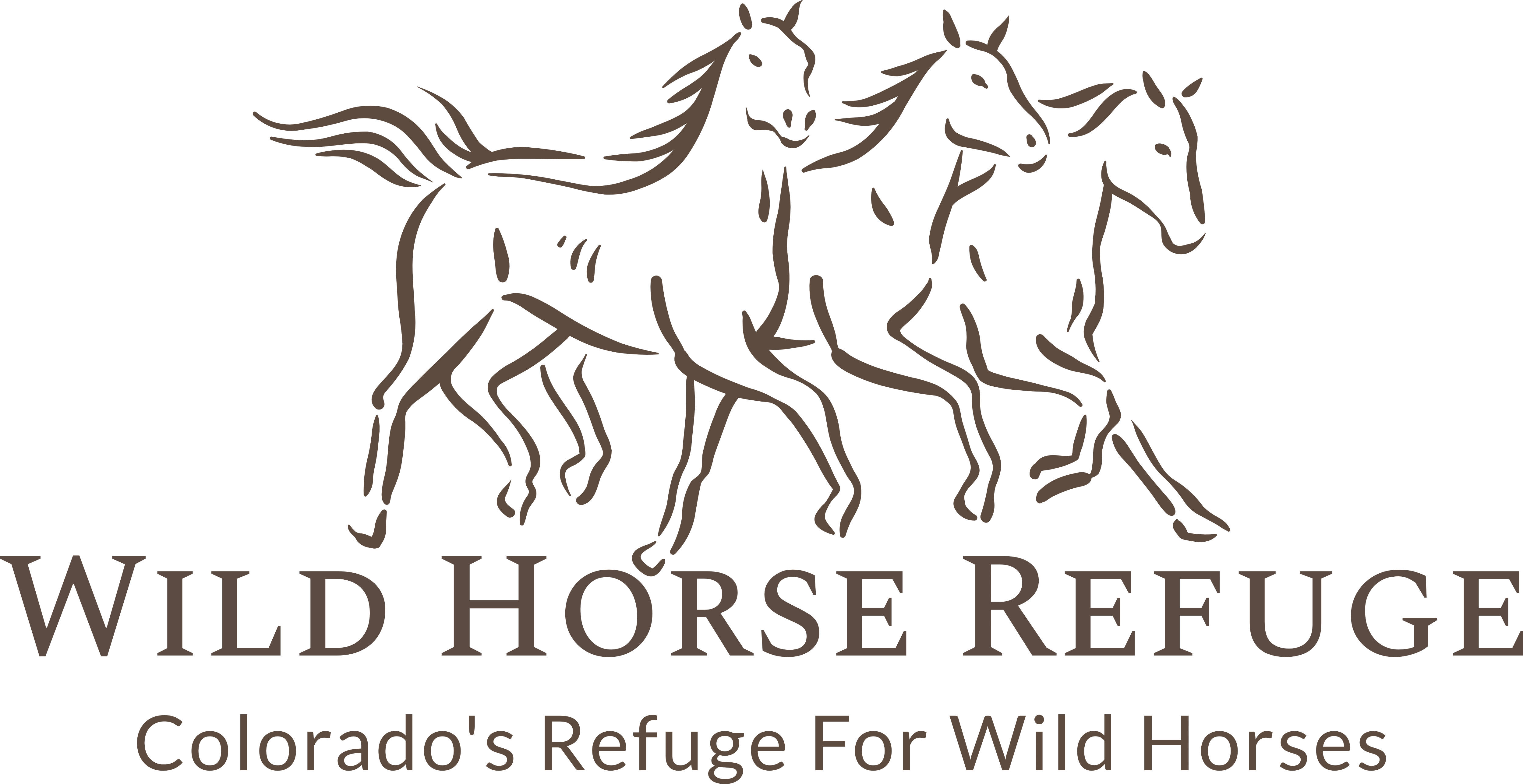 Mustangs | The Wild Horse Refuge Mustangs | The Wild Horse Refuge
