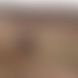 Quoi de neuf à la Haie de Morgon?