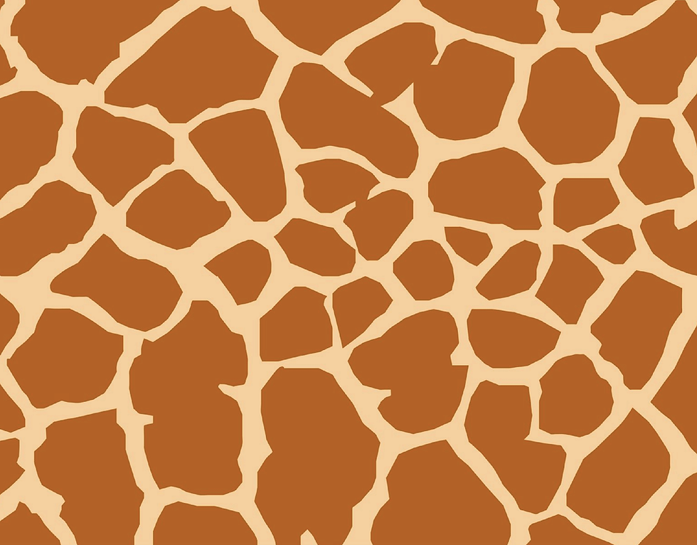 Thumbnail: GIRAFFE WAXED SNOWBOARD LACES