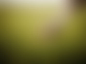 Mindfulness: A Path to Inner Peace and Presence