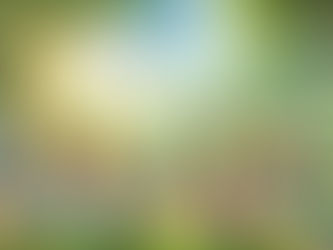 Addressing Silent Struggles: Mental Health in Rural Communities