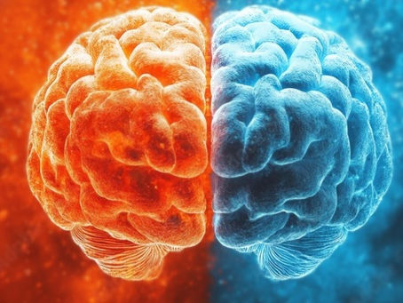 Understanding Bipolar Disorder: The Highs, the Lows, and the Struggles In Between