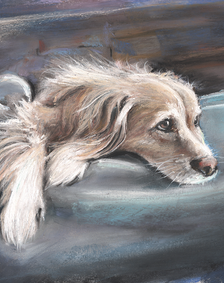 'Boo Radley'