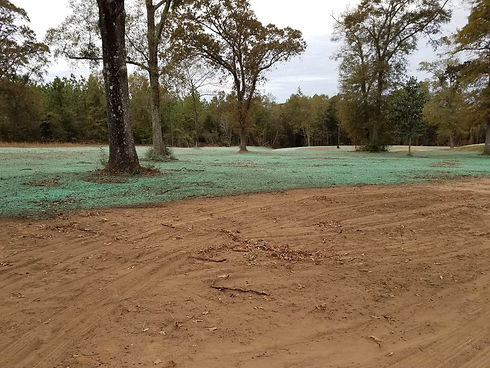 Hydroseeding