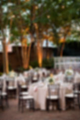 Uplighting on the trees for a wedding at linden row inn waterproo uplighting