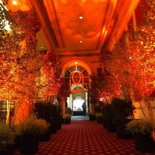 Uplighting & Gobos at The Jefferson