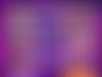 Week 13: Dozen Trivia Preview