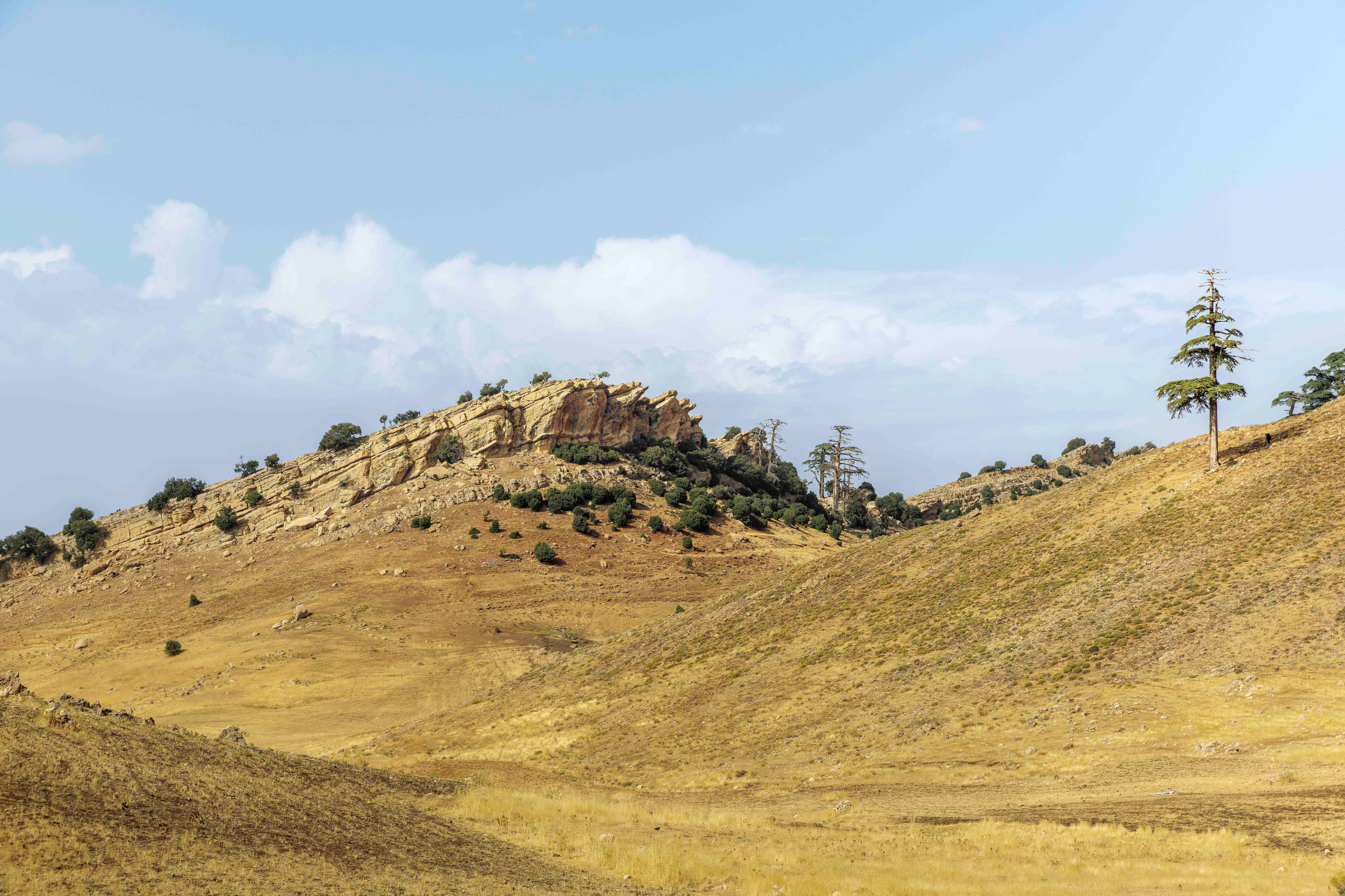 Golden Hills