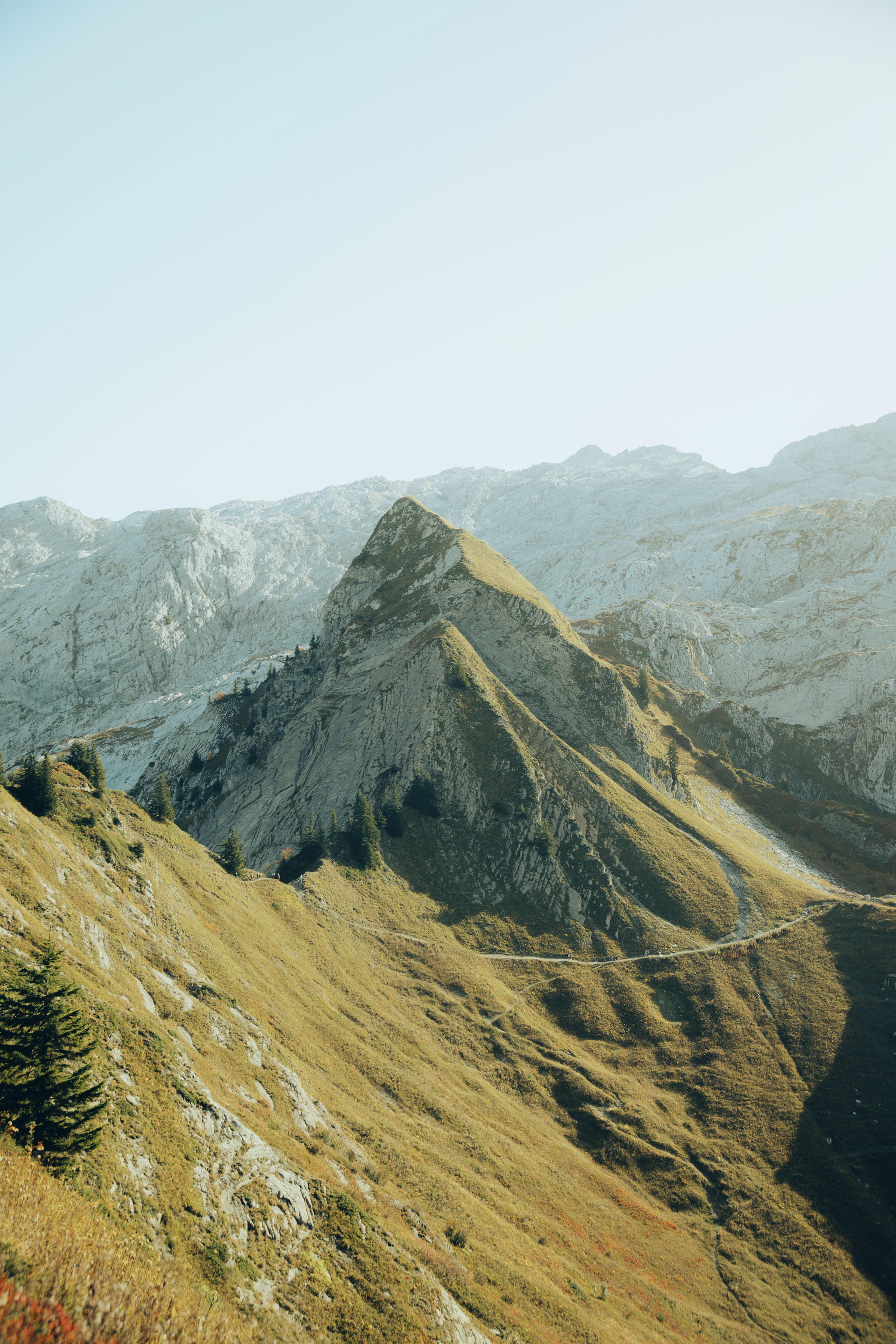 Alpine Ridge