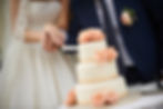 Vanessa&Daniel cut the wedding cake
