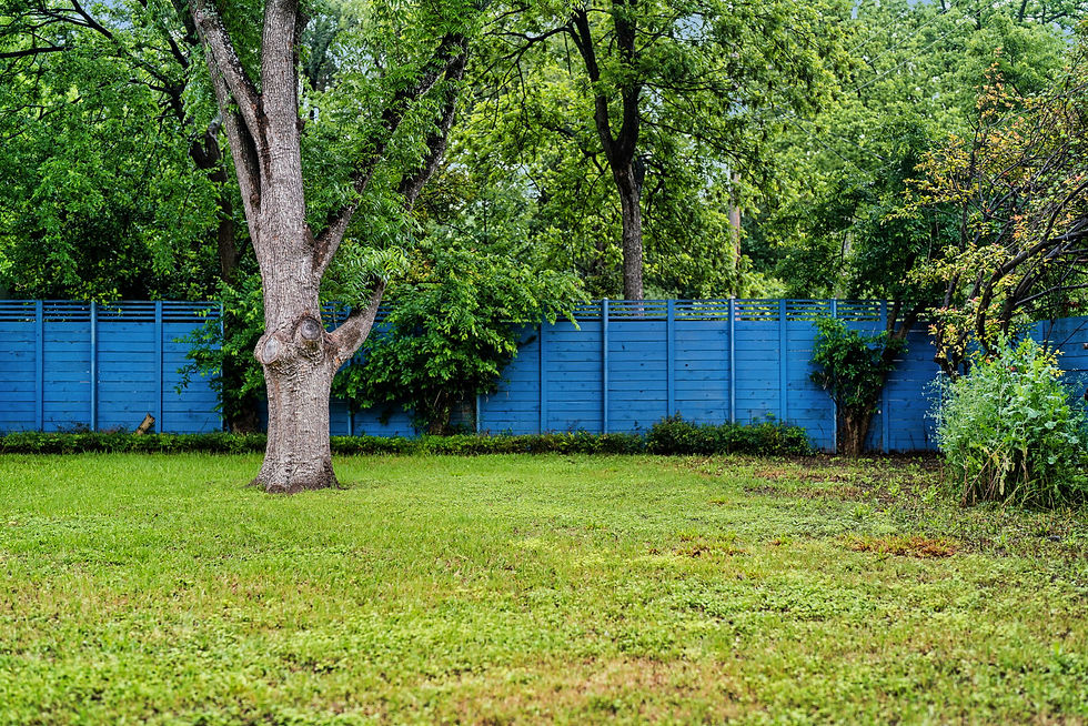 32-web-or-mls-DSC04683