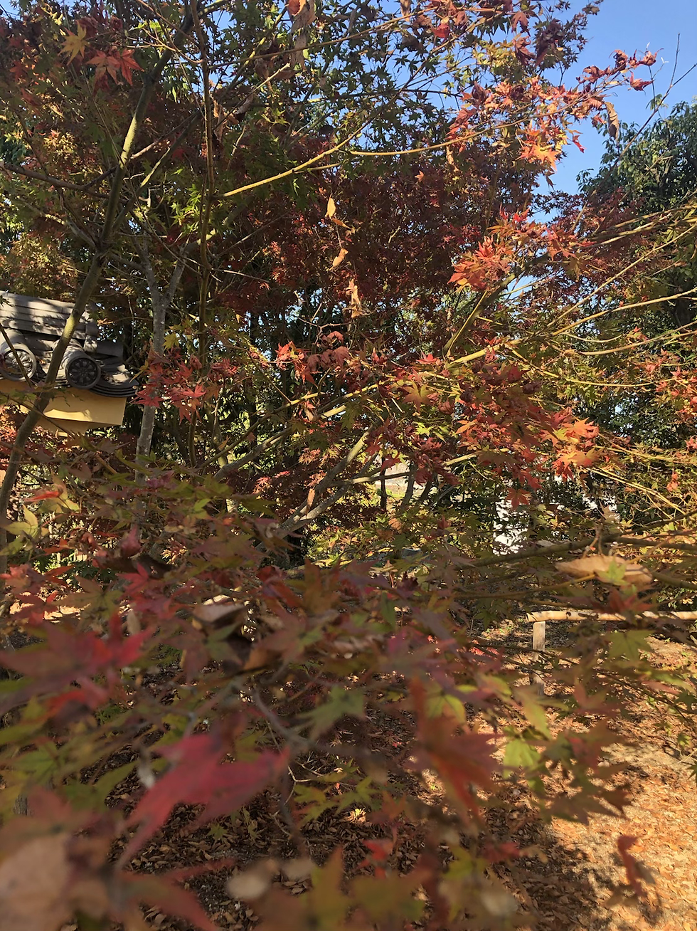 ree