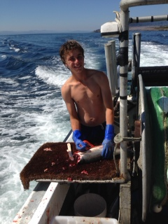 A hot day on the Salmon Banks