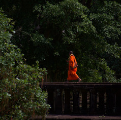 Buddhism and Solitude