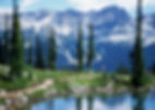 Whistler Mountain & Trail - Large (1).jpg