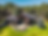 Picture1.png